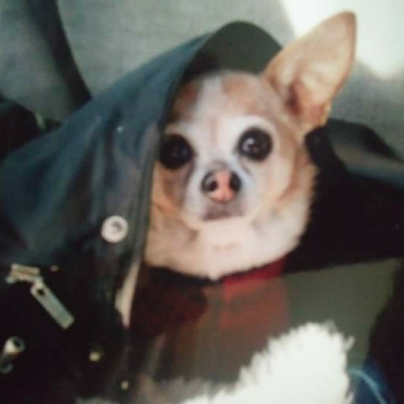 NOT FOR SALE - Picture 2 of 3